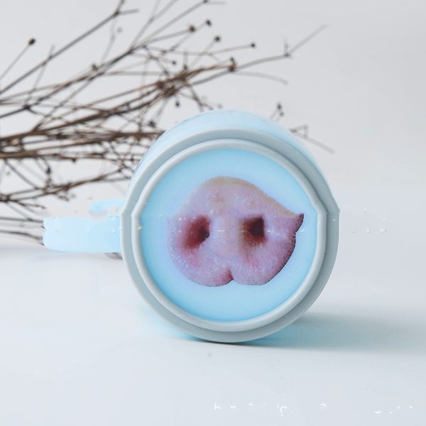 Sticker Pig-Nose-Cat Funny Best Friend - Image 6