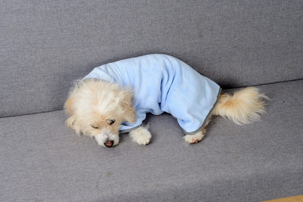 Quick-drying Pet Absorbent Towel Dog Bathrobe Pet Dog Bath Towel For Dogs Cats Microfiber Absorbent Pet Drying Towel Pet Supplies Pet Products - Image 7