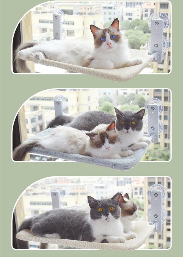 Cat Suction Cup Window Glass Hammock Pet Cat Pets Products - Image 9