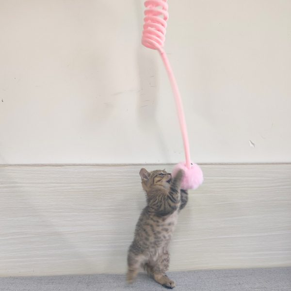 Cat Toy Self-Hi Sucker Spring Rabbit Hair Ball Interactive Play Pet Supplies Interactive Toys - Image 2