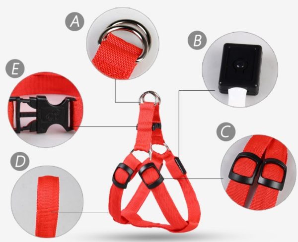 Pet Products LED Luminous Dog Chest Strap Large Dog Luminous Dog Leash - Image 8