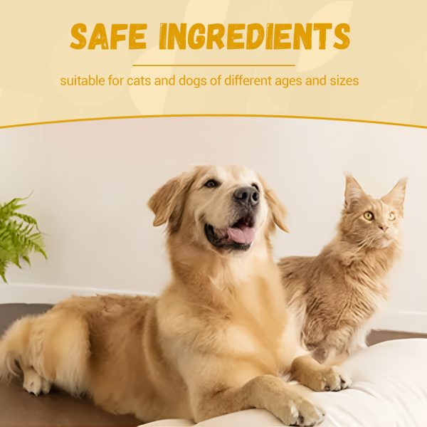 Pet Nutritional Supplements Enhance Energy Vitality - Image 2