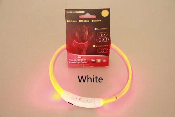 Pet Flashing Collar USB Rechargeable Glowing Necklace Safety Collar Light Up Collars For Night Walking Electric Dog Collar Neon - Image 5