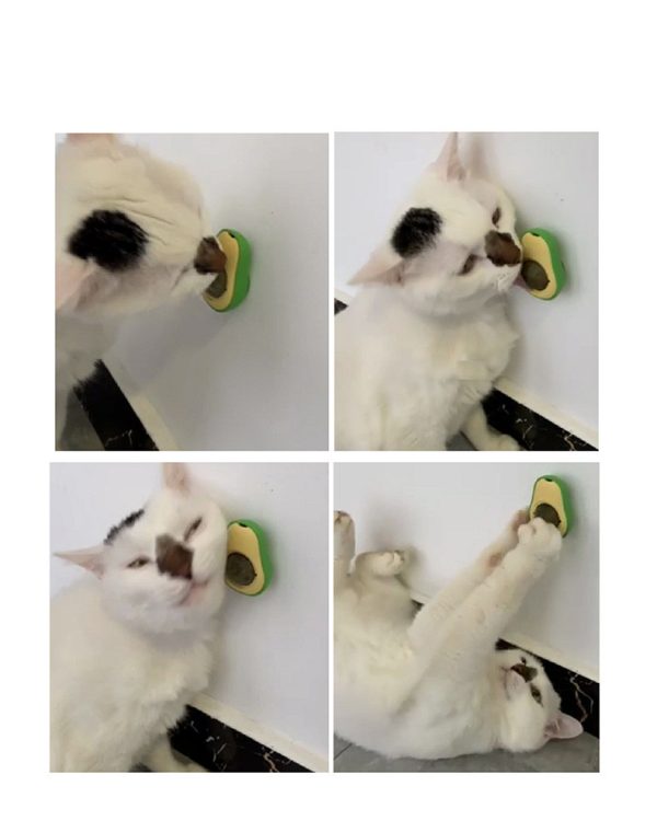 Avocado Cat Mint Multifunctional Catnip Toy 360 Rotating Self-healing Artifact Pet Supplies - Image 4