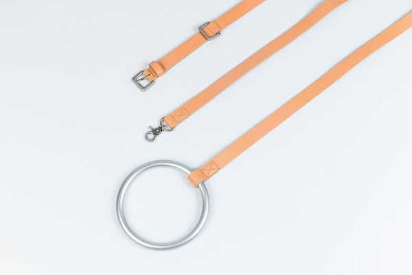 Cross-border Products In Stock New Pet Hand Holding Rope Leather Dog Collar - Image 6