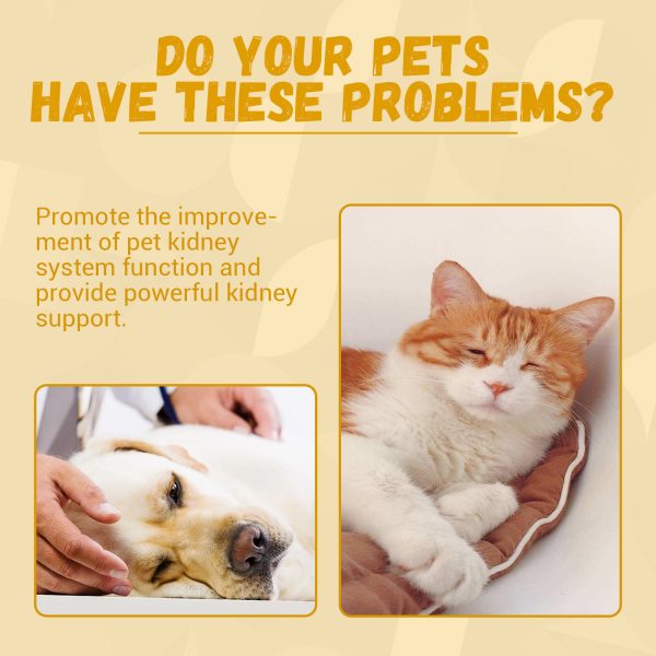 Pet Nutritional Supplements Enhance Energy Vitality - Image 3