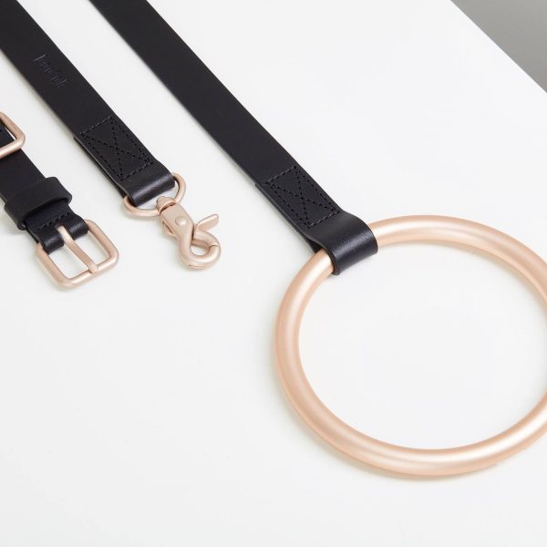 Cross-border Products In Stock New Pet Hand Holding Rope Leather Dog Collar - Image 5